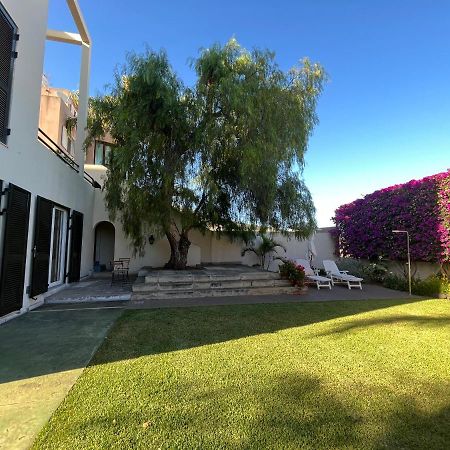 Ferienwohnung Dream Garden Santa Cruz de Tenerife Exterior foto