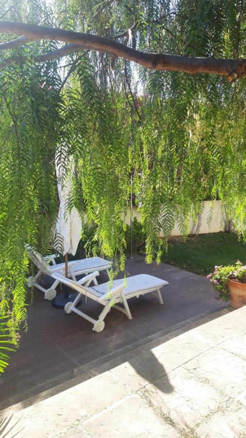 Ferienwohnung Dream Garden Santa Cruz de Tenerife Exterior foto