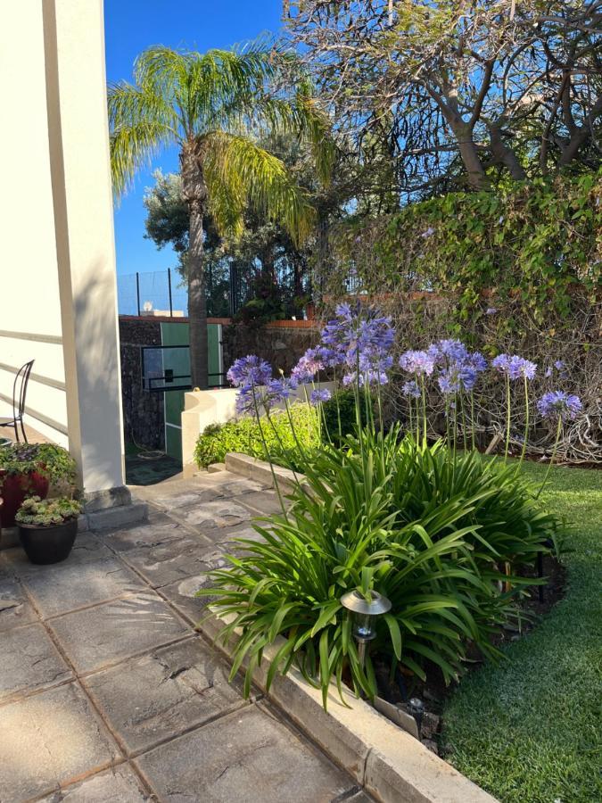 Ferienwohnung Dream Garden Santa Cruz de Tenerife Exterior foto